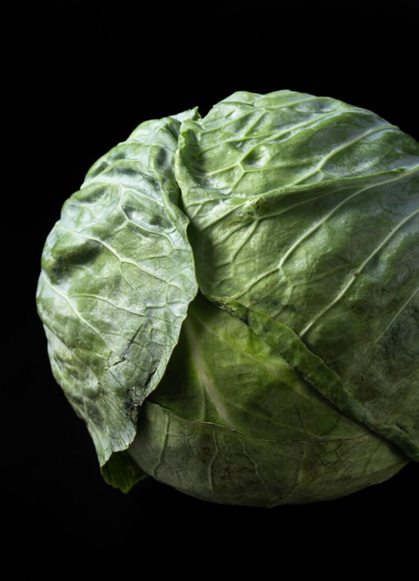 cabbage