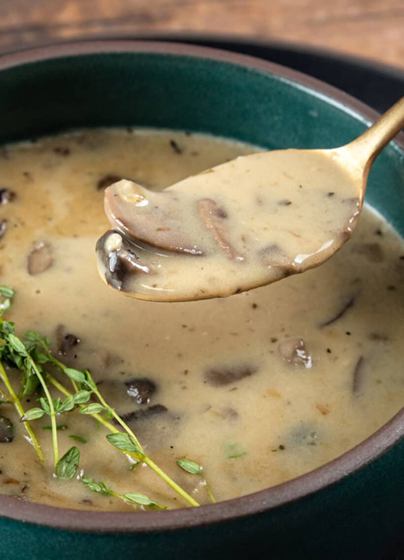 cream of mushroom soup