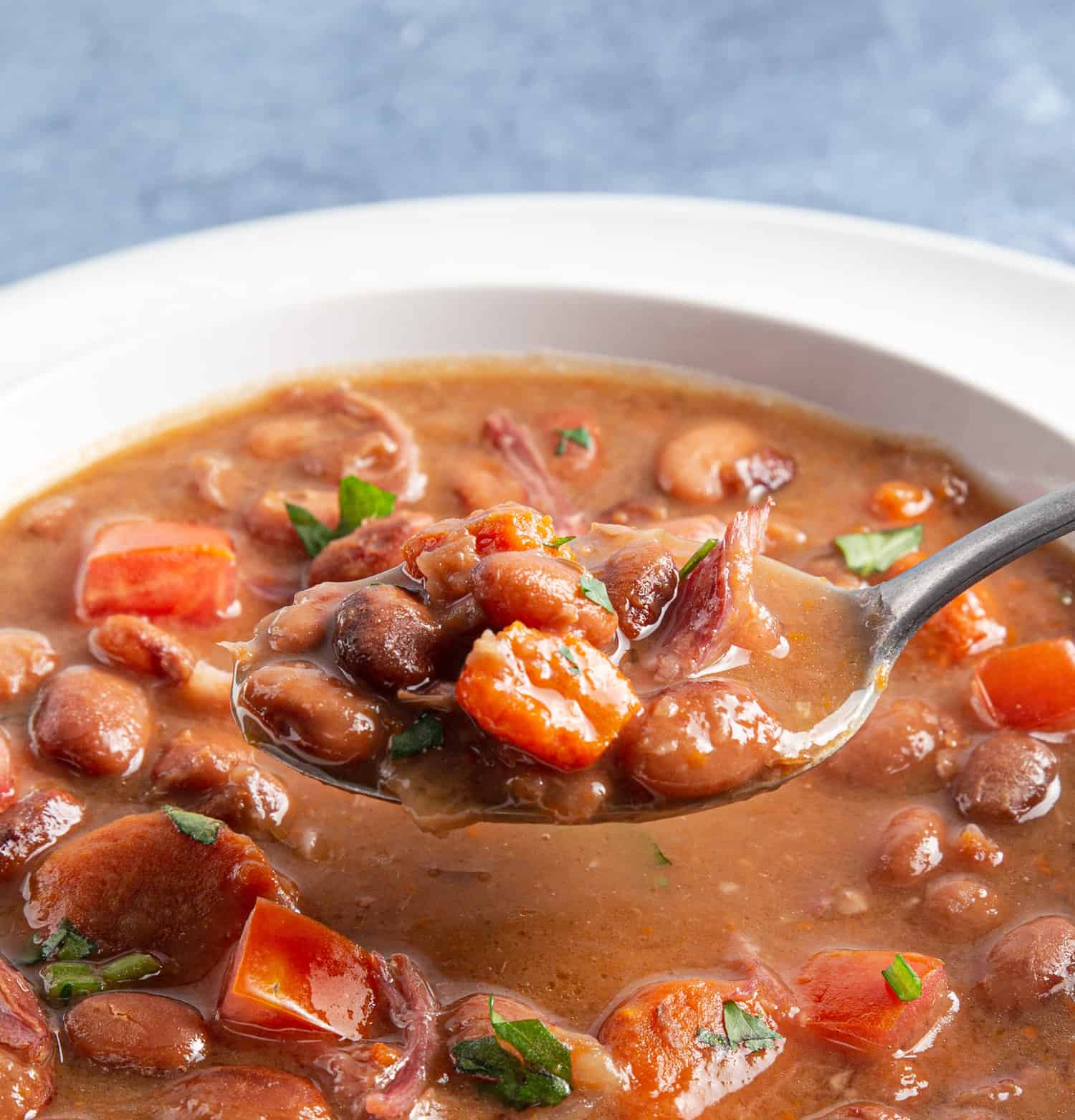 ham and bean instant pot soup