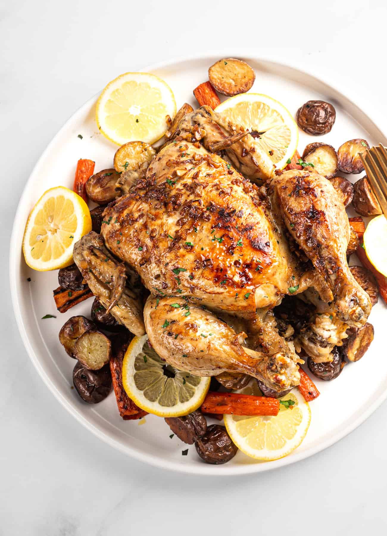 instant pot roast chicken