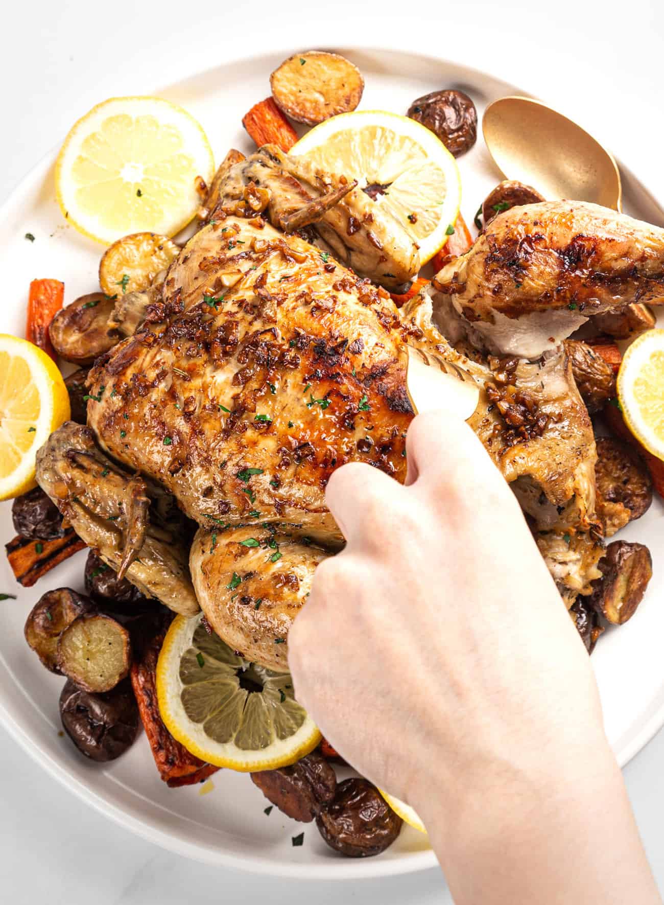 instant pot whole chicken recipe